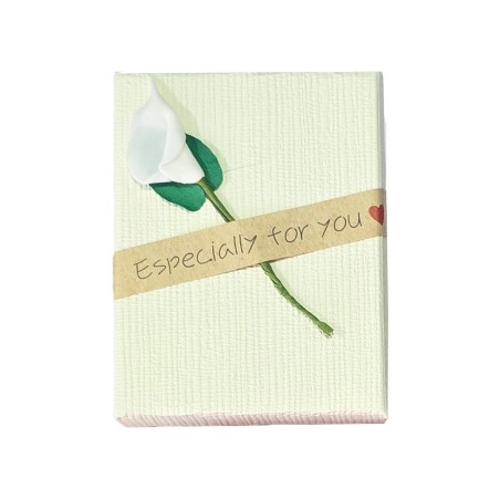 Caja Estuche X12