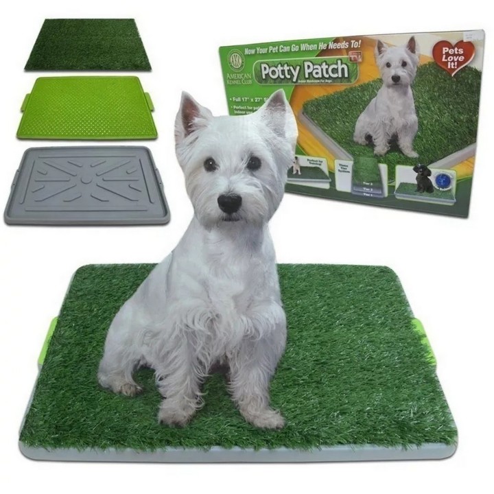 Tapete De Entrenamiento Para Perro Mascota Alfombra Cesped