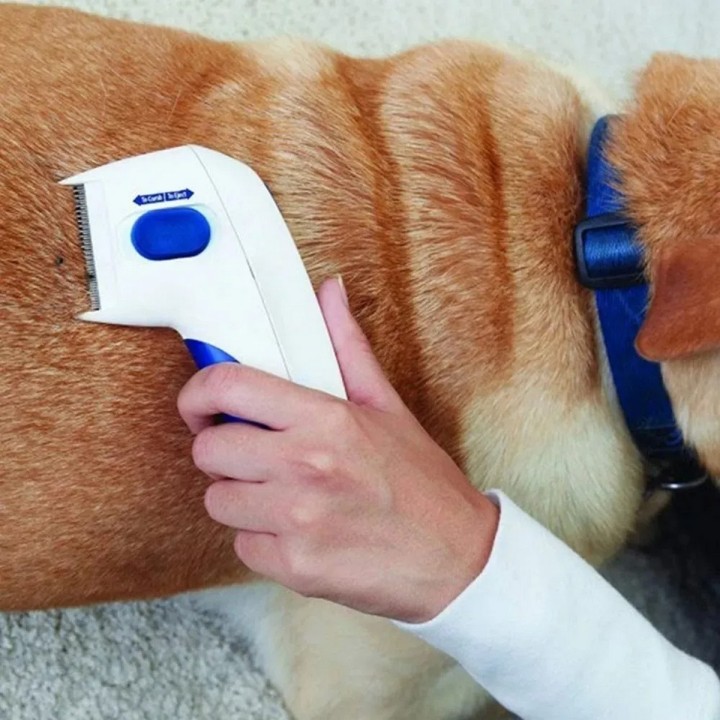 Peine Eléctrico Para Mascotas Mata Pulgas + Baterias