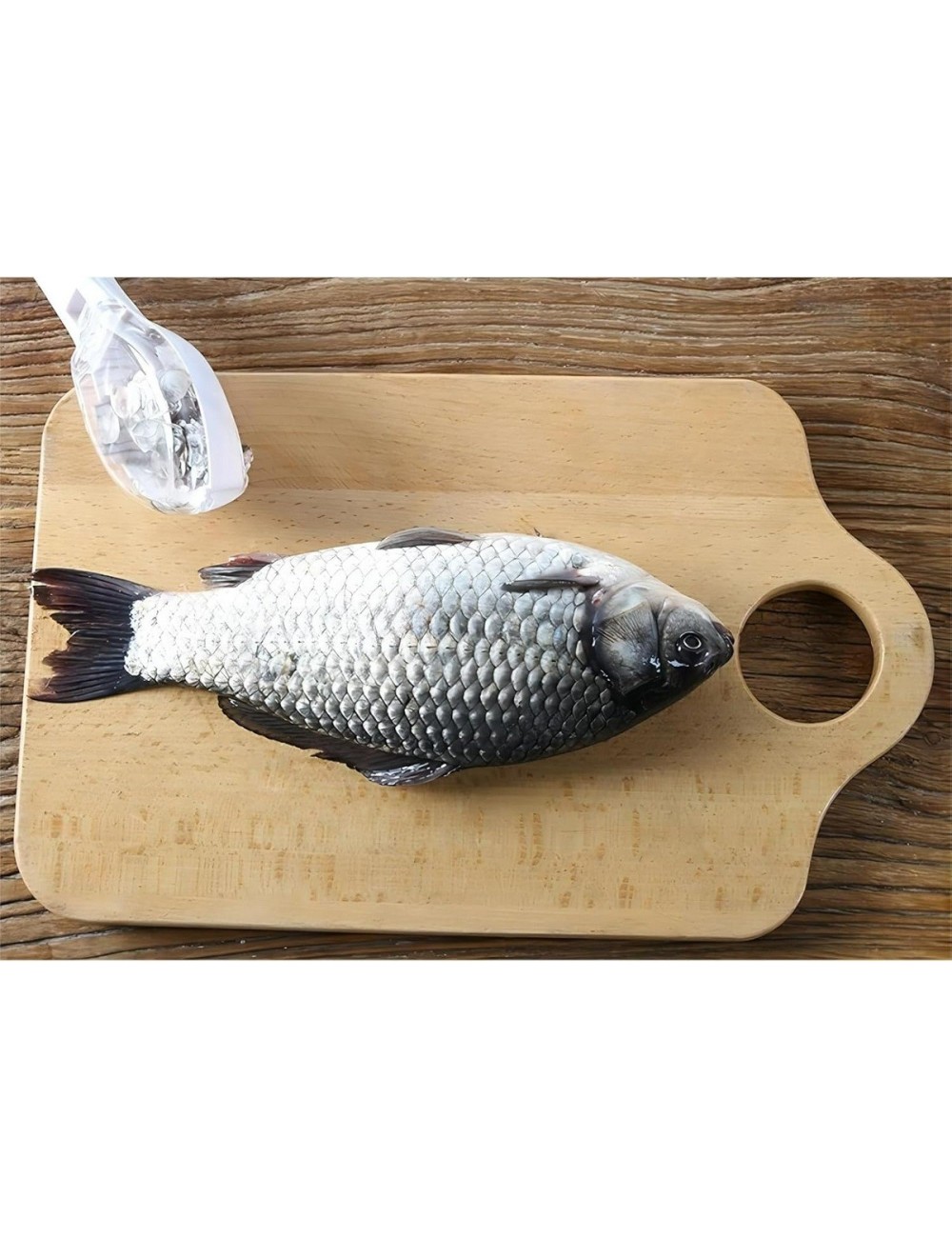 Limpiador De Escamas De Pescado Utensilio Quita Escamas