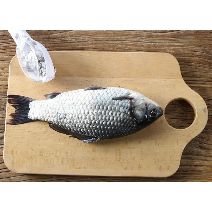 Limpiador De Escamas De Pescado Utensilio Quita Escamas