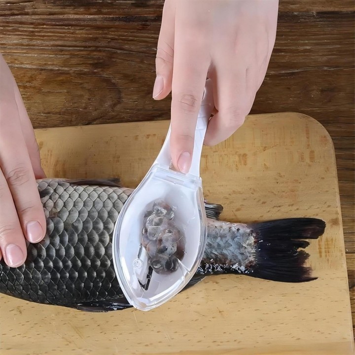 Limpiador De Escamas De Pescado Utensilio Quita Escamas