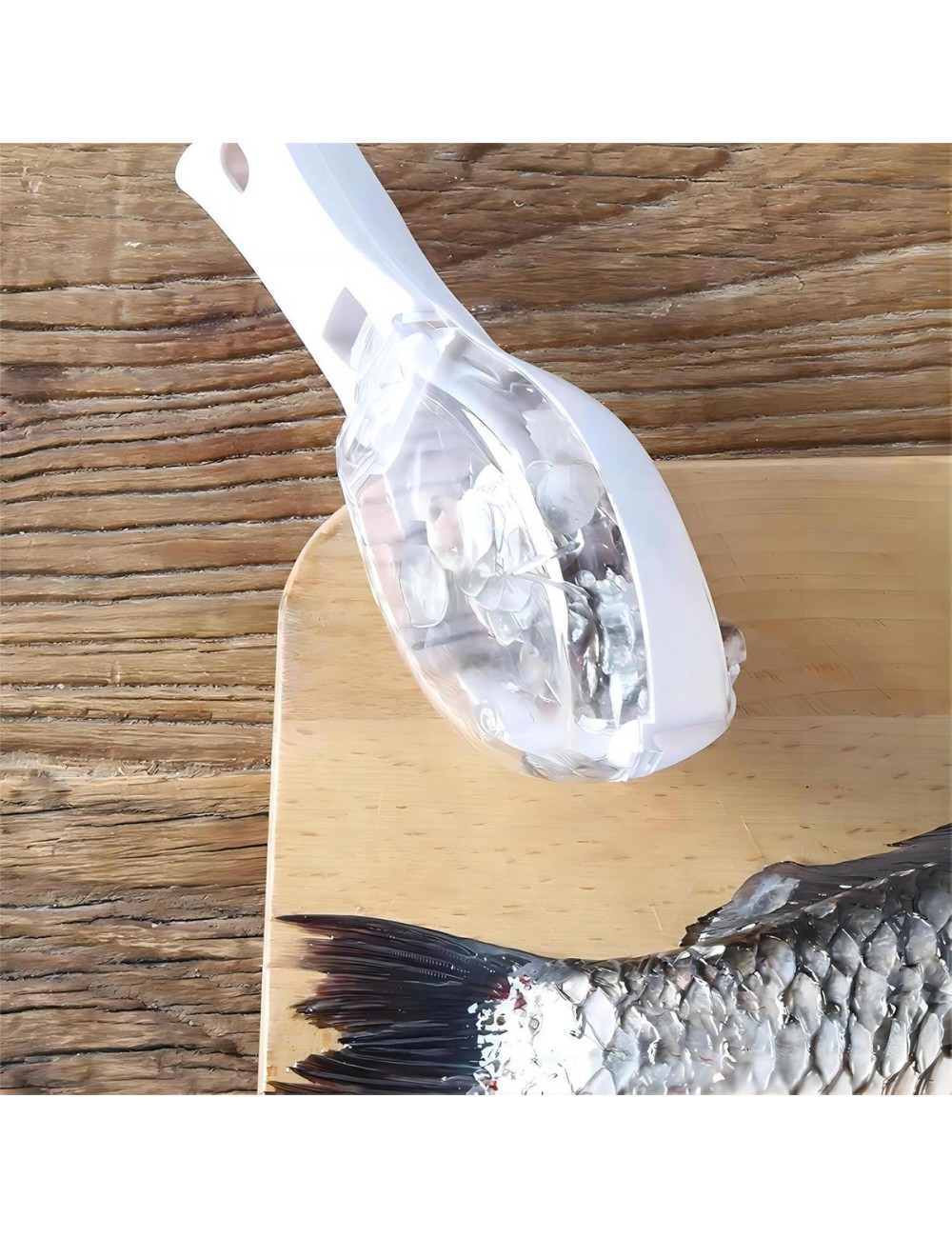 Limpiador De Escamas De Pescado Utensilio Quita Escamas