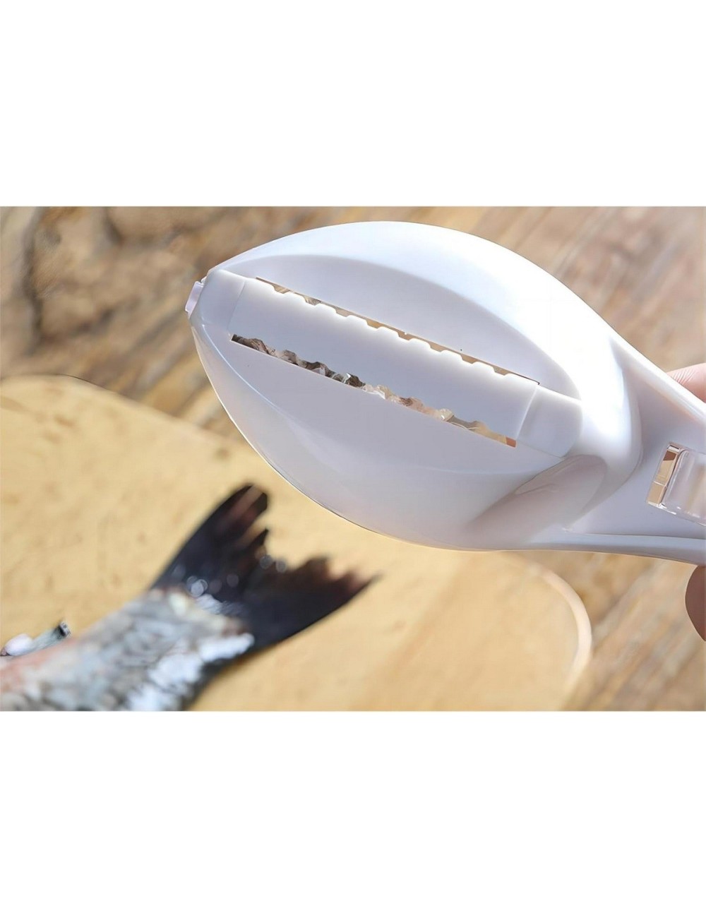Limpiador De Escamas De Pescado Utensilio Quita Escamas