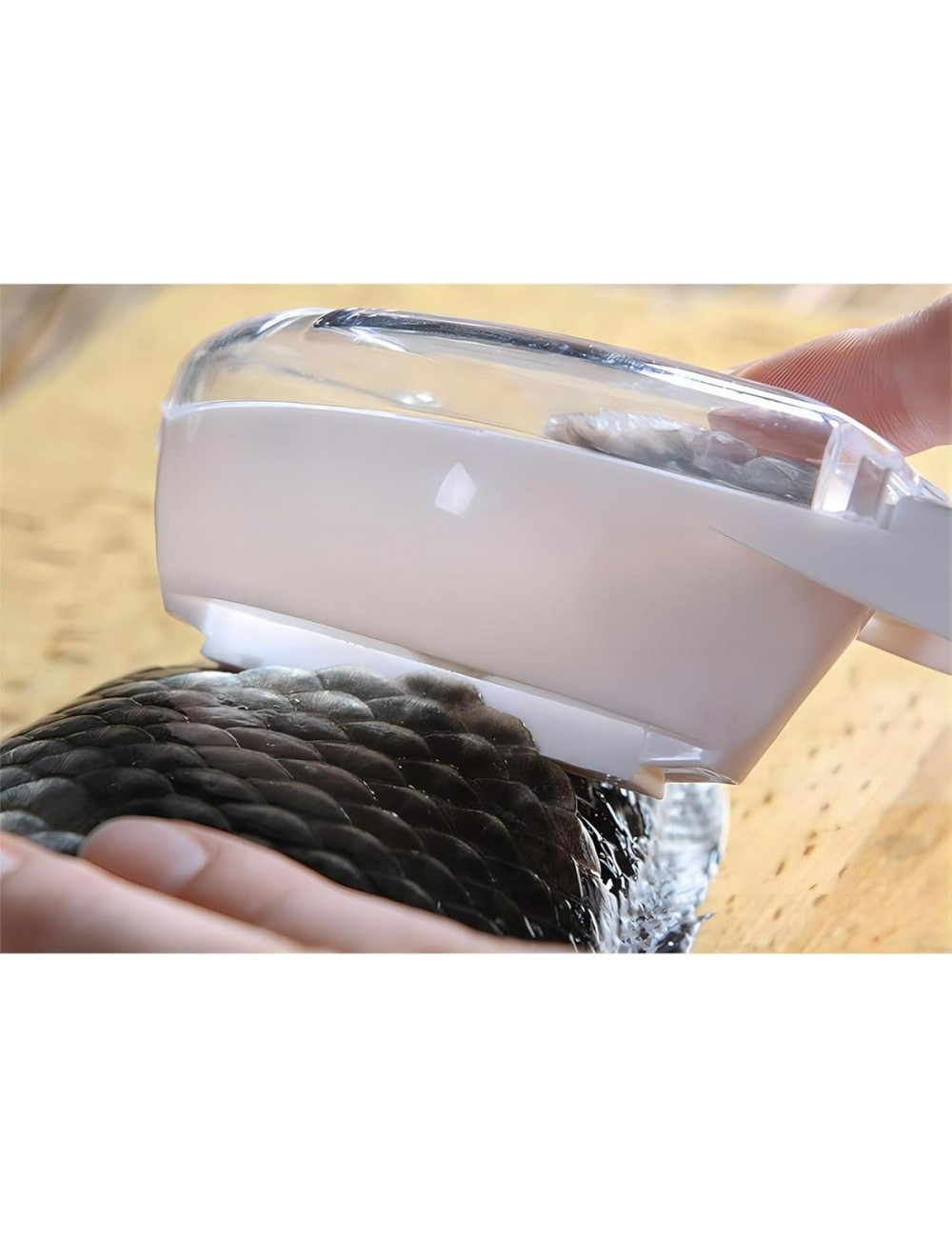 Limpiador De Escamas De Pescado Utensilio Quita Escamas