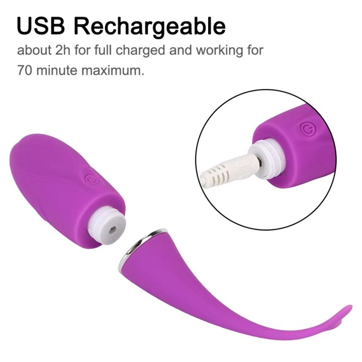 Vibrador Consolador Delfin Recargable Control Movil 26495-42