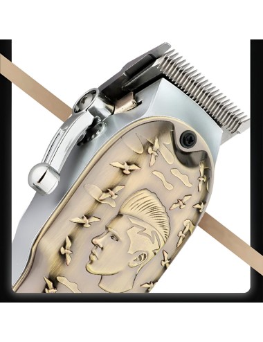 Maquina Peluqueria Cortadora De Pelo Waer Wa-048 Accesorios