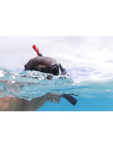 Set Snorkel Careta Aletas Natacion Buceo Bestway 25044