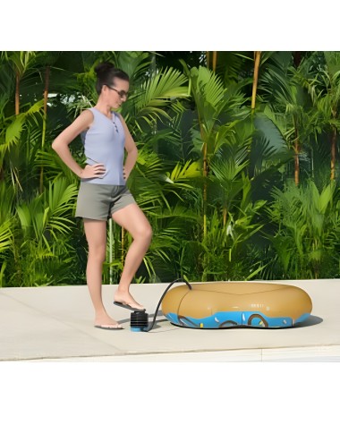 Inflador Bomba Manual Bestway 62147 Air Step