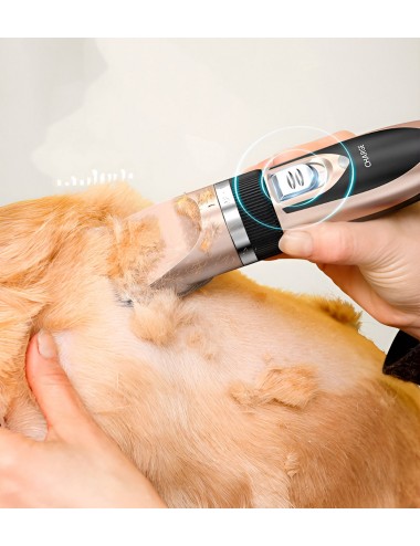 Maquina Peluquera Mascotas Profesional Canina Pet Wa-7888
