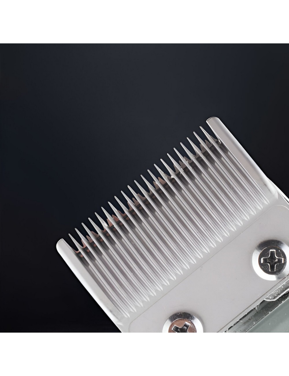 Maquina Peluqueria Cortadora De Pelo Waer Wa-088 Accesorios