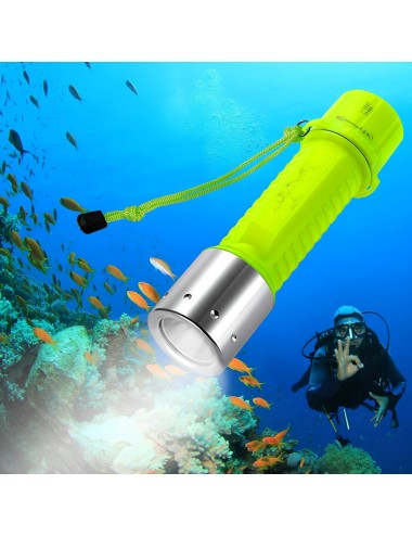 Linterna Subacuática Profesional De Alta Visibilidad Xq-1