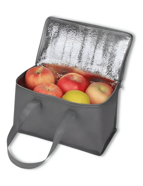 Bolso Lonchera Térmica Porta Comida Almuerzo Poliéster