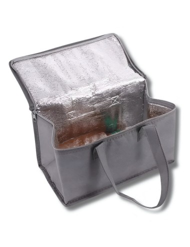 Bolso Lonchera Térmica Porta Comida Almuerzo Poliéster