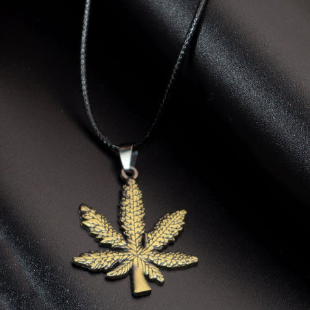 Collar Planta