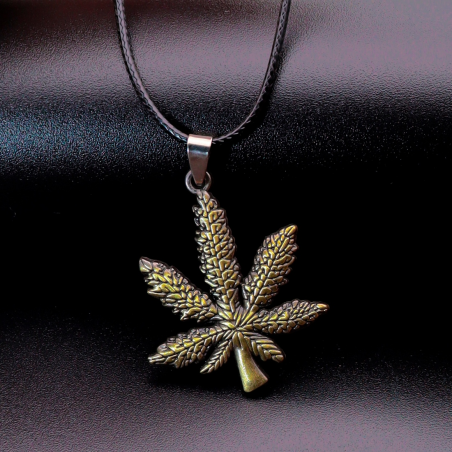 Collar Planta