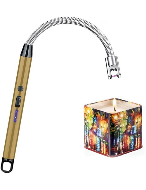 Encendedor Eléctrico Recargable Con Cuello Flexible Y Arco
