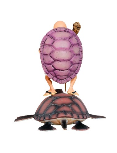 Figura Accion Coleccionable Dragon Ball Z Maestro Roshi