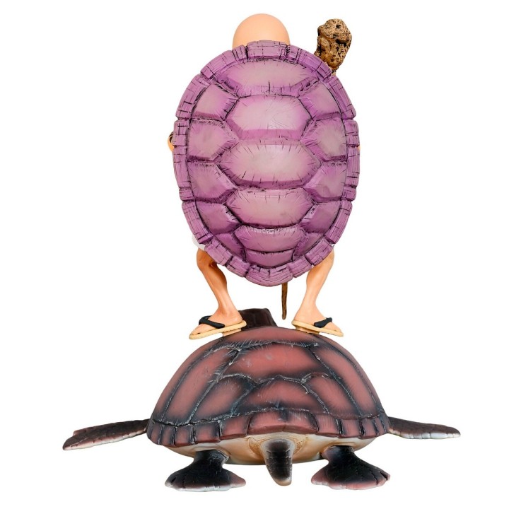 Figura Accion Coleccionable Dragon Ball Z Maestro Roshi