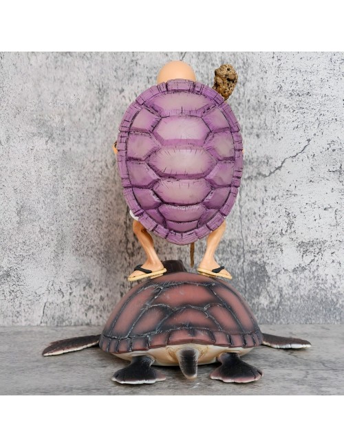 Figura Accion Coleccionable Dragon Ball Z Maestro Roshi