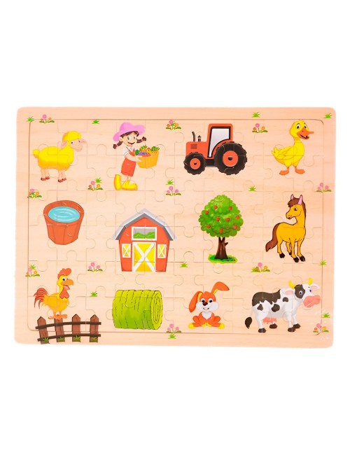 Rompecabezas En Madera Tematico Aprendizaje Puzzle Niños