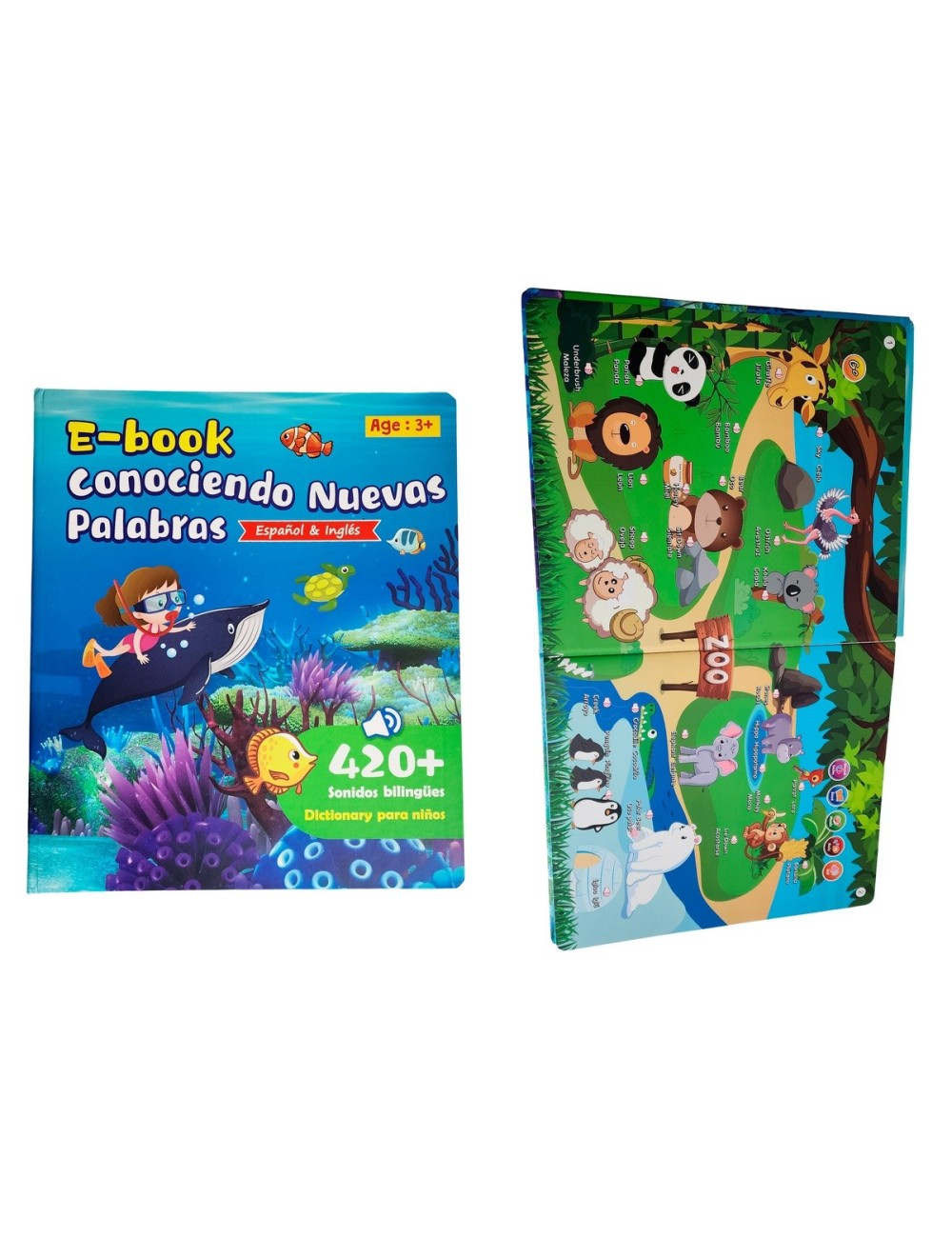 Libro Estudio Aprendizaje Facil Conociendo Nuevas Palabras