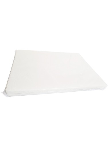 Lamina Acetato Transparente 125 Mic 229 X 292 Mm X 100 Und