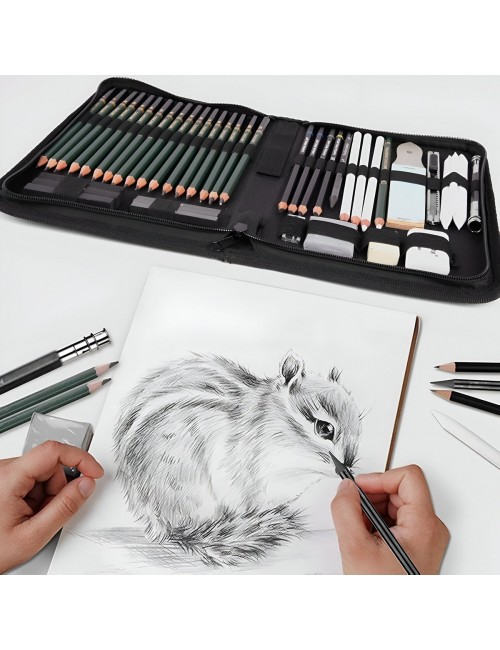 Set De Lapiz De Dibujo Profesionales Y Accesorios + Estuche