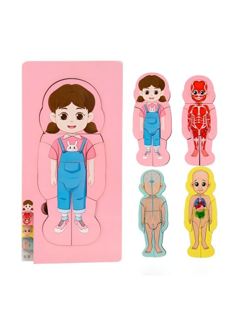 Rompecabezas Interactivo Partes Del Cuerpo Didacito Niña