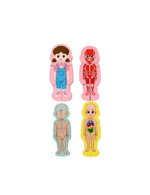 Rompecabezas Interactivo Partes Del Cuerpo Didacito Niña