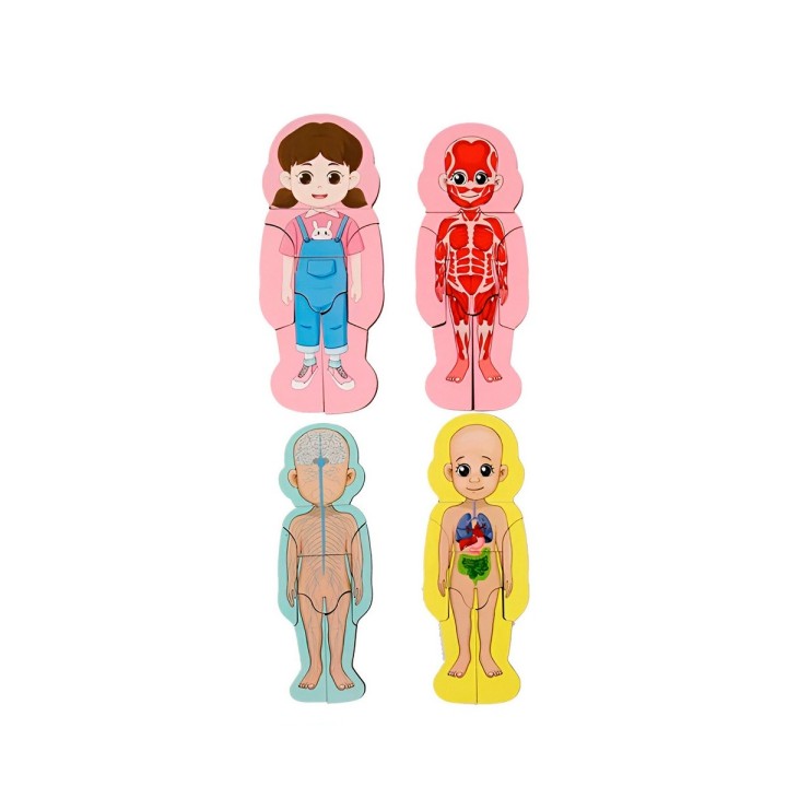 Rompecabezas Interactivo Partes Del Cuerpo Didacito Niña