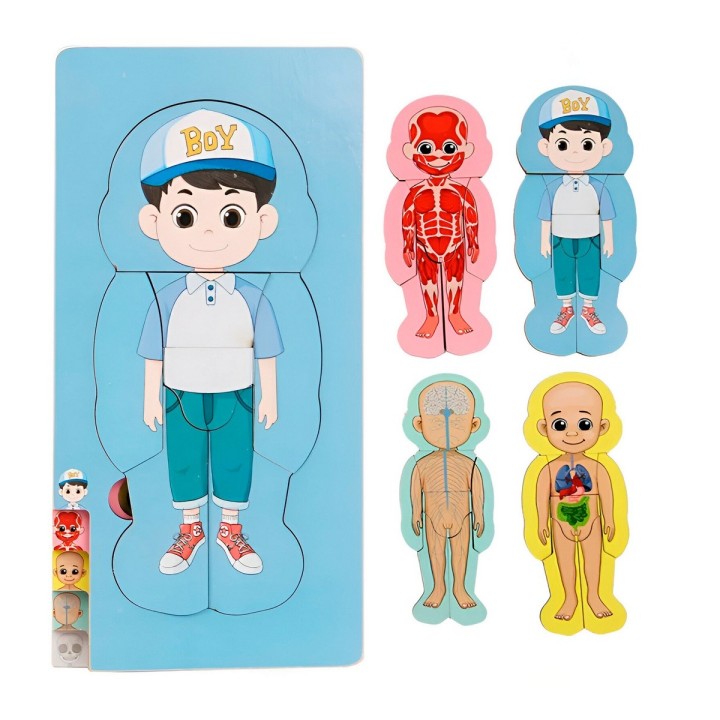Rompecabezas Interactivo Partes Del Cuerpo Didacito Niño