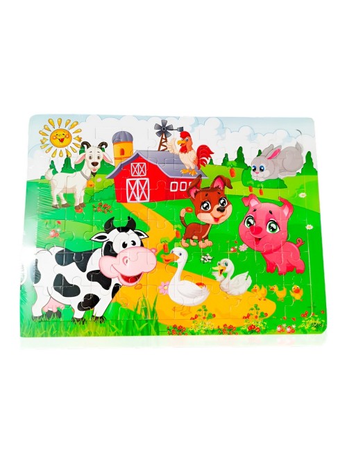 Rompecabezas Madera Interactivo Aprendizaje Personaje Figura