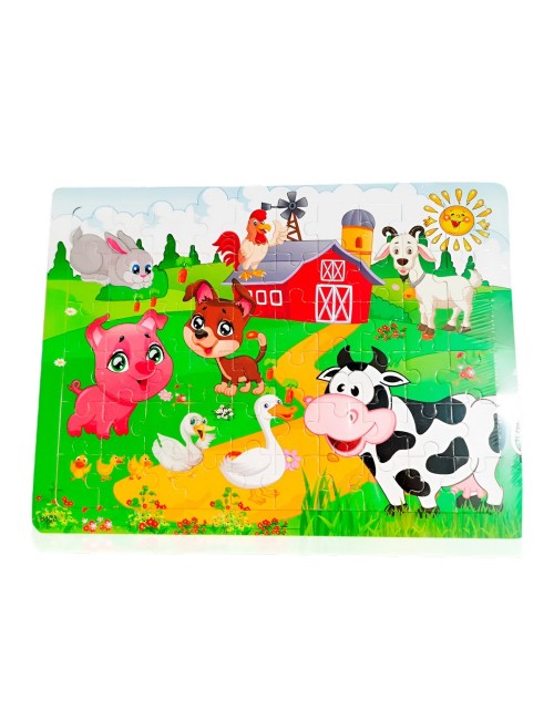 Rompecabezas Madera Interactivo Aprendizaje Personaje Figura