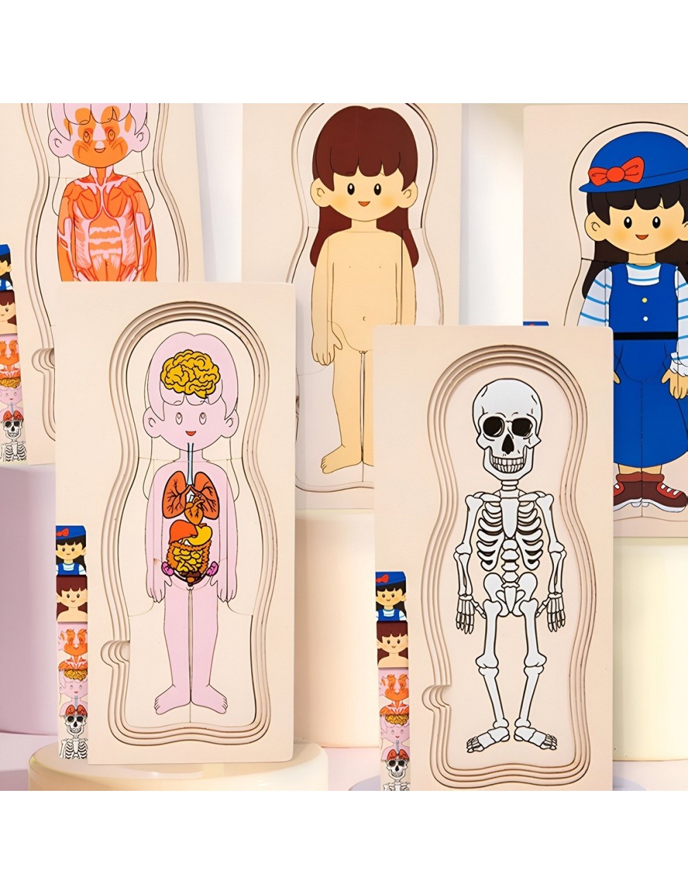 Juego De Mesa Rompecabezas Partes Del Cuerpo Interactiva