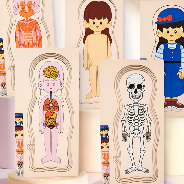 Juego De Mesa Rompecabezas Partes Del Cuerpo Interactiva