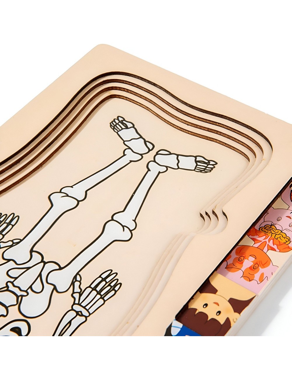 Juego De Mesa Rompecabezas Partes Del Cuerpo Interactiva