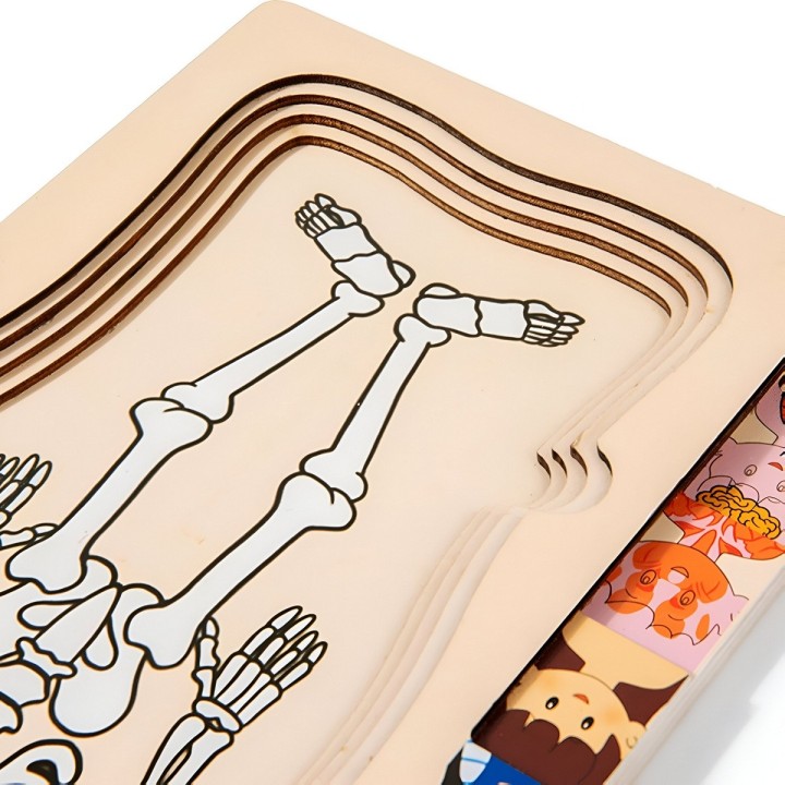 Juego De Mesa Rompecabezas Partes Del Cuerpo Interactiva