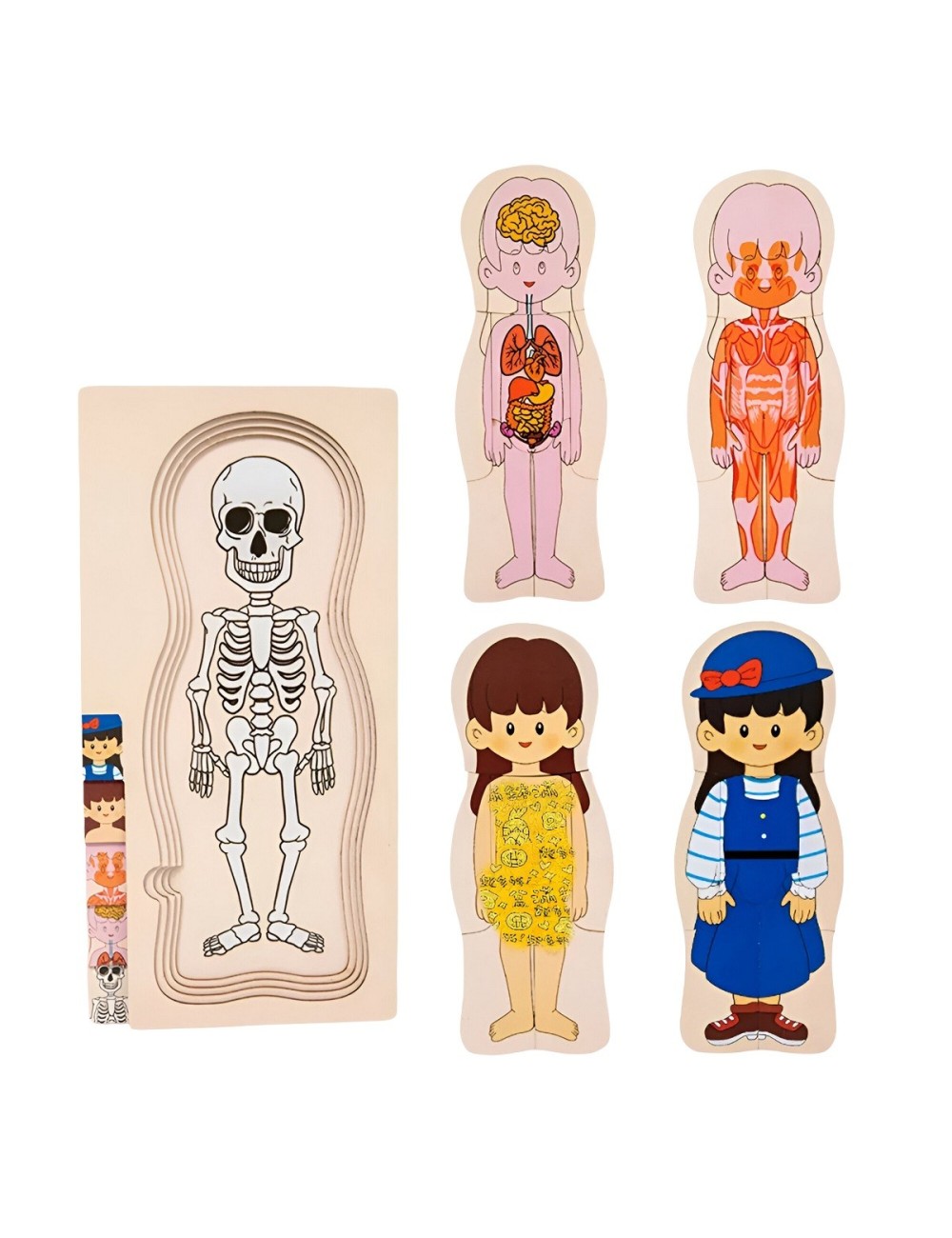 Juego De Mesa Rompecabezas Partes Del Cuerpo Interactiva