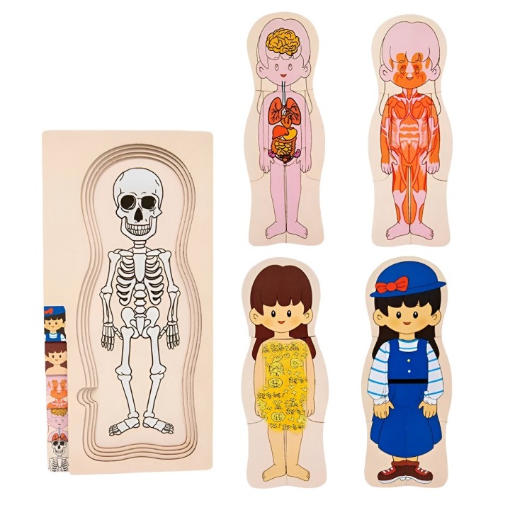 Juego De Mesa Rompecabezas Partes Del Cuerpo Interactiva