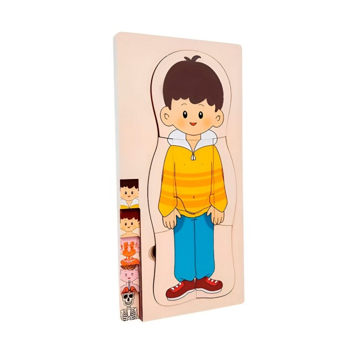 Juego De Mesa Rompecabezas Partes Del Cuerpo Interactiva