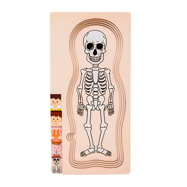 Juego De Mesa Rompecabezas Partes Del Cuerpo Interactiva