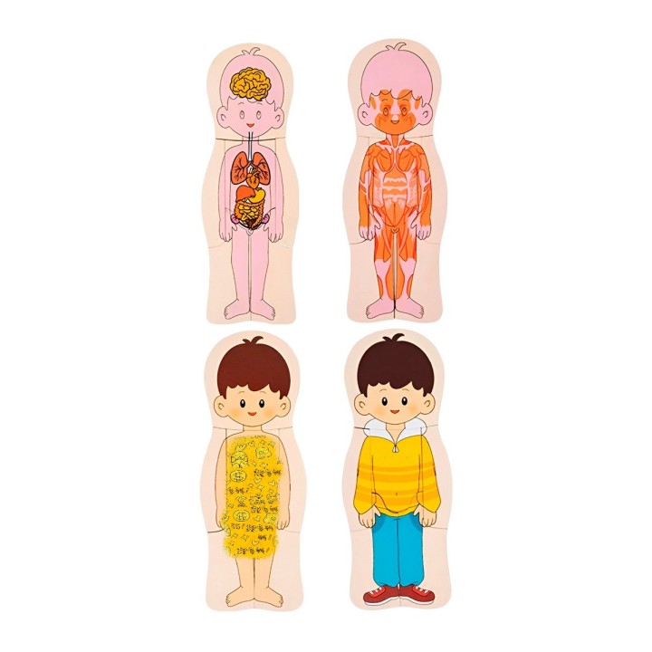 Juego De Mesa Rompecabezas Partes Del Cuerpo Interactiva