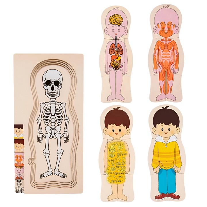 Juego De Mesa Rompecabezas Partes Del Cuerpo Interactiva