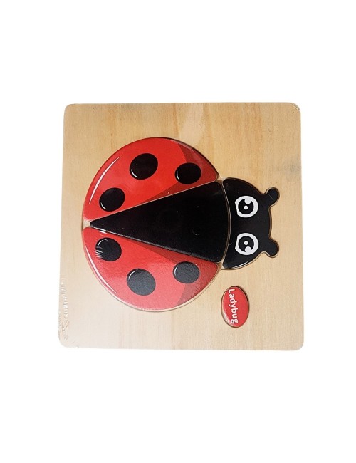 Rompecabeza Figura Aprendizaje Didactico Nombre En Ingles