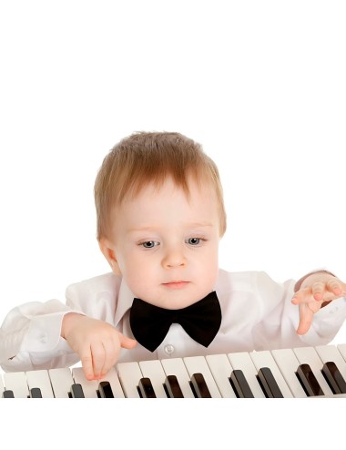 Piano Organeta Electronica Microfono + Cable Usb Corriente