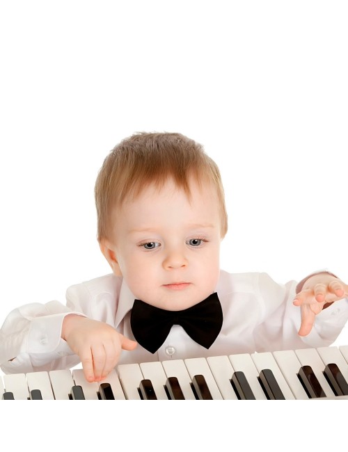 Piano Organeta Electronica Microfono + Cable Usb Corriente