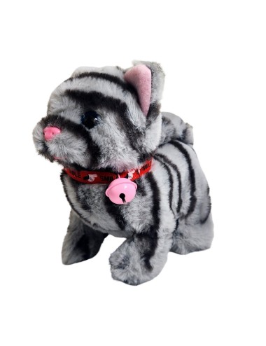 Gato Rayitas Robot Casa Juguete Interactivo + Bateria