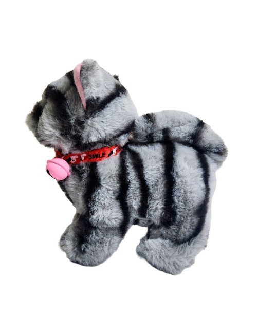 Gato Rayitas Robot Casa Juguete Interactivo + Bateria