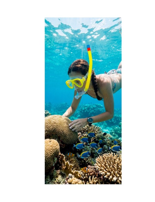 Careta Snorkel Kit Buceo Resistente Ajustable Swim Goggles